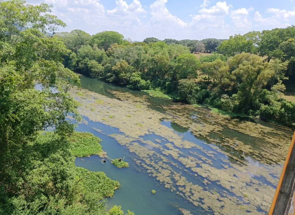 Arroyos del río Calabozo en Benito Juárez
