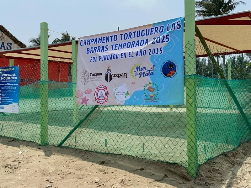 Campamentos tortugueros en las playas de Tuxpan