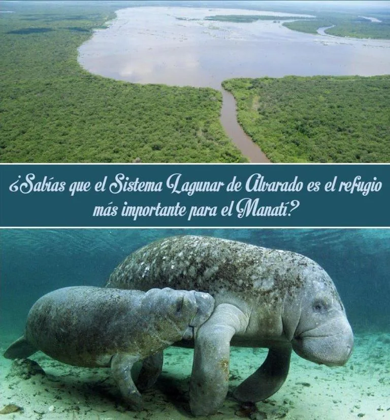 Sistema Lagunar de Alvarado