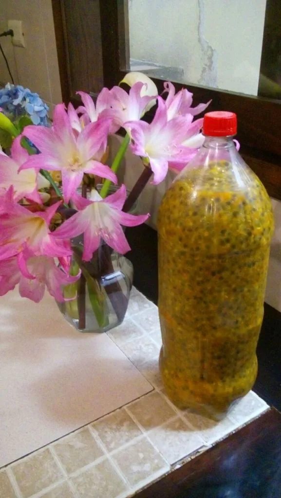 Maracuyá y productos frutales de Naolinco