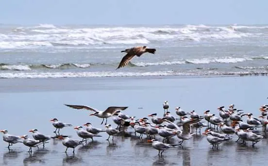 Rancho Playa en la costa de Papantla