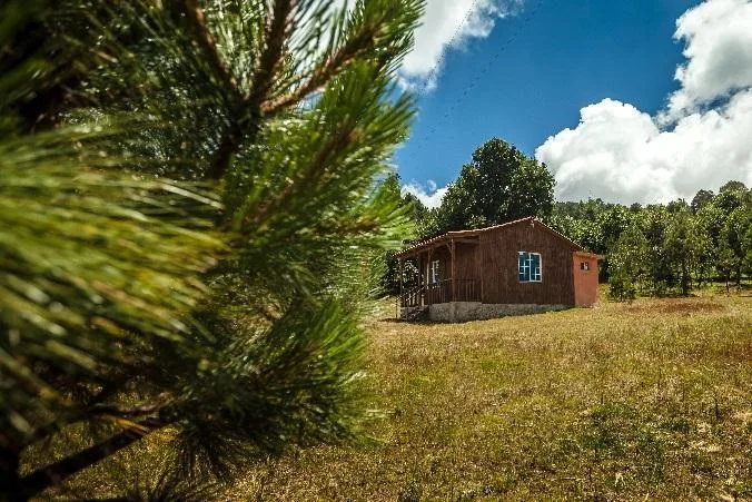El Conejo y turismo de naturaleza en Perote