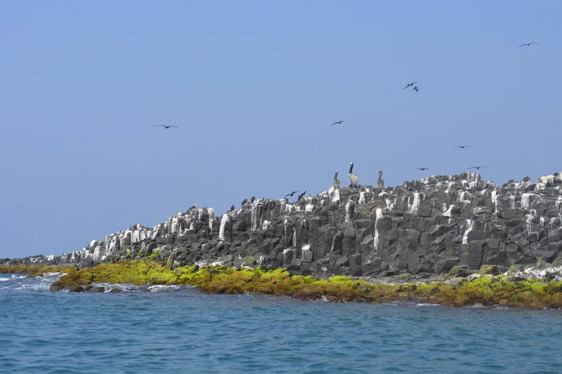 Isla del Terrón en la costa de Los Tuxtlas
