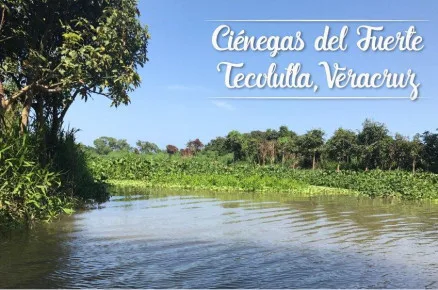 Tecolutla