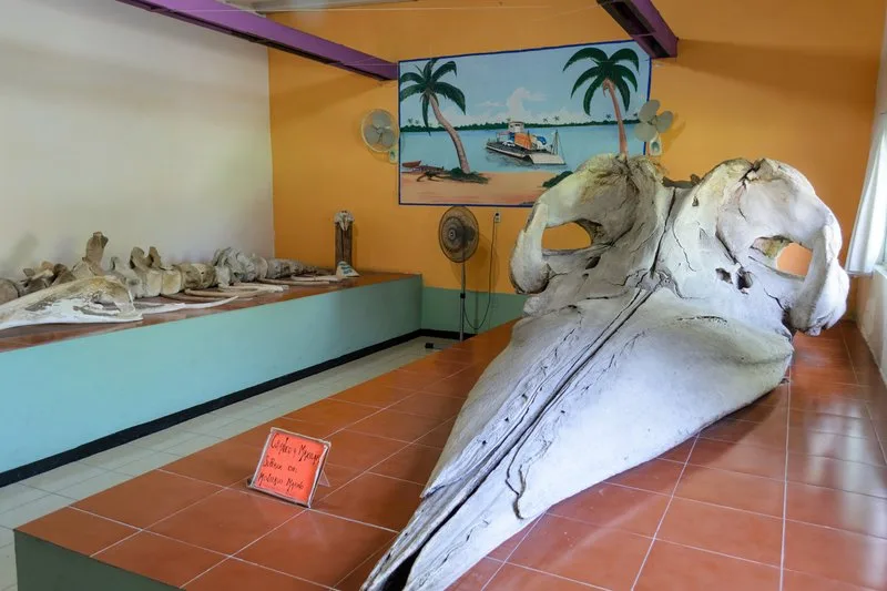 Museo Marino Comunitario de Tecolutla