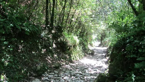 Calzada del Itamo