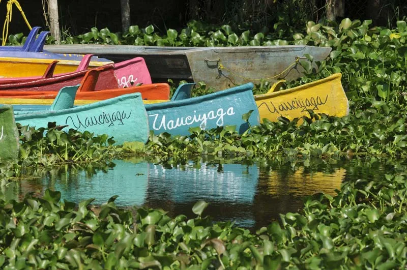 Reserva ecológica Nanciyaga