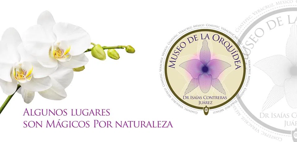 Museo de la Orquídea de Coatepec