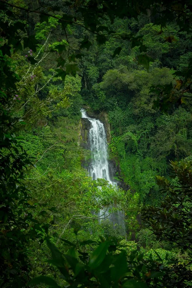 Cascada La Granada en Coatepec