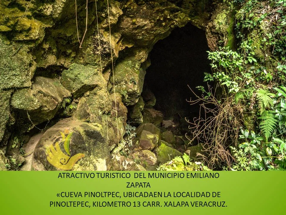 Cueva de Pinoltepec