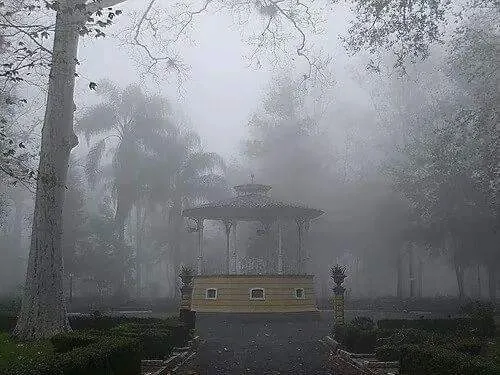 Parque Miguel Hidalgo, Los Berros
