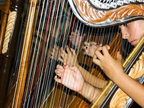 Arpa y música tradicional en Alto Lucero