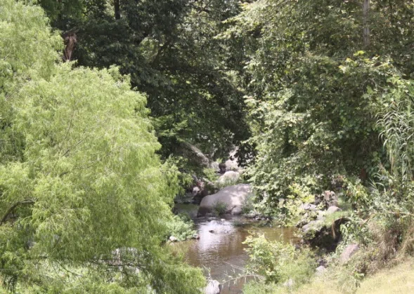 Cascada El Chorro de Alto Lucero