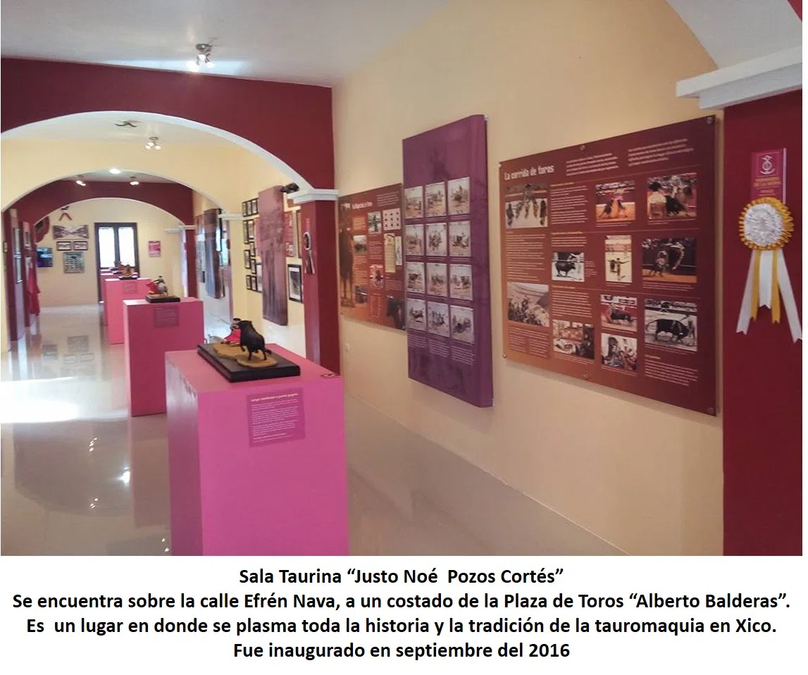 Museo Taurino de Xico