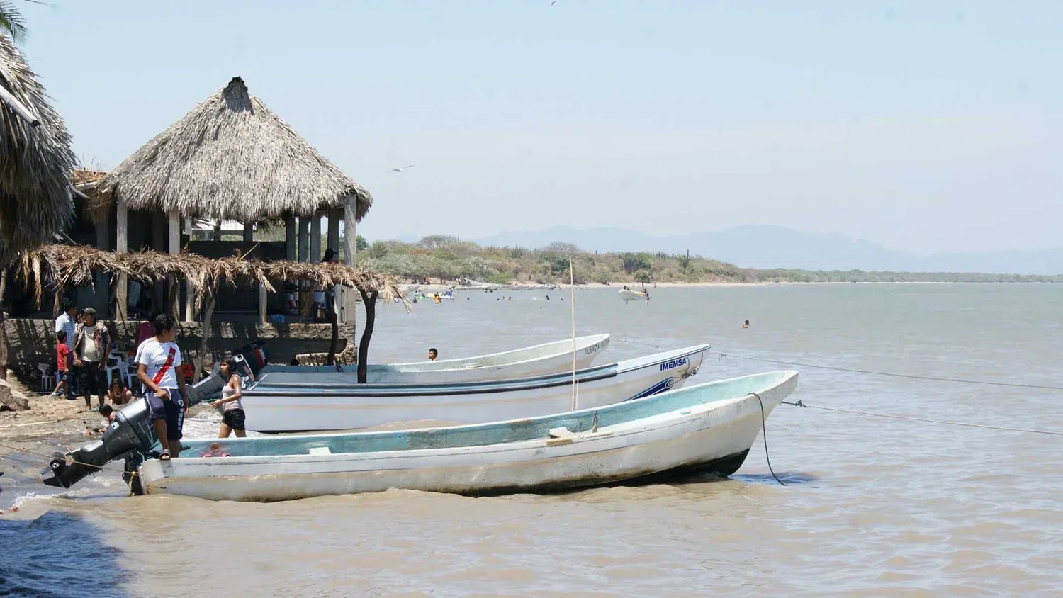 Playa Vicente