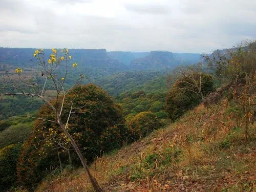 Tenampa