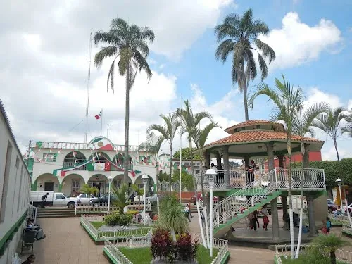 Salsa de chicatana y fiesta de Santiago en Totutla