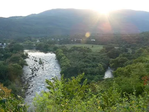 Coetzala