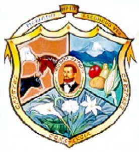 Escudo de Mariano Escobedo