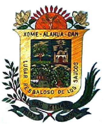 Escudo de Las Minas