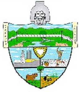 Escudo de Naranjos Amatlán