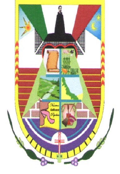 Escudo de Sayula de Alemán