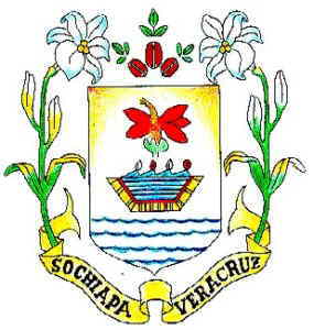 Escudo de Sochiapa