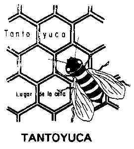Escudo de Tantoyuca