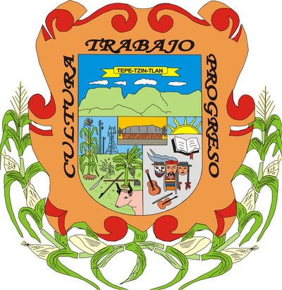 Escudo de Tepetzintla