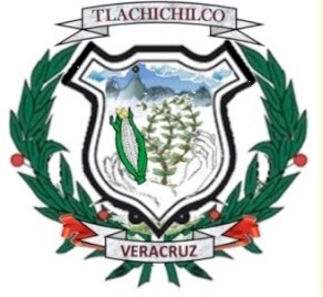 Escudo de Tlachichilco
