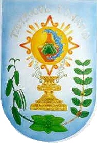 Escudo de Zozocolco de Hidalgo