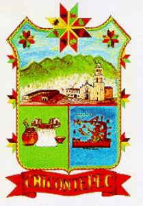 Escudo de Chicontepec