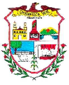 Escudo de Chinameca