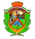 Escudo de Ixhuatlancillo