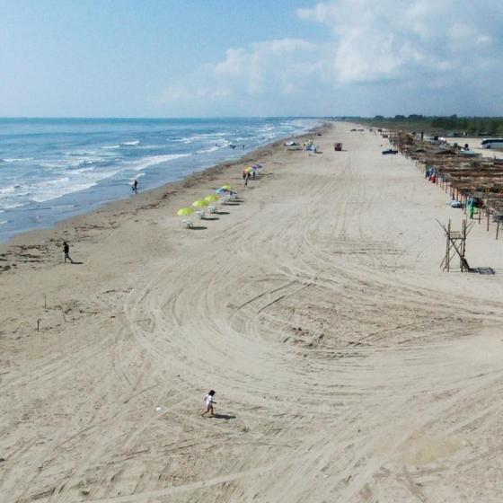 Playa de Tamiahua
