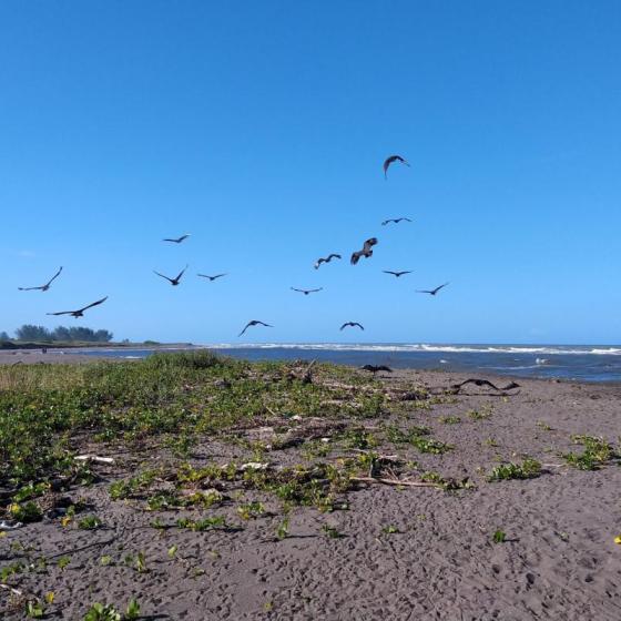 Playa El Raudal
