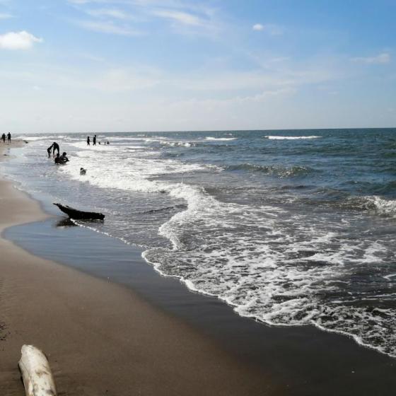 Playa de Alvarado