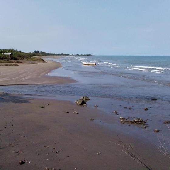 Playa el Zapote