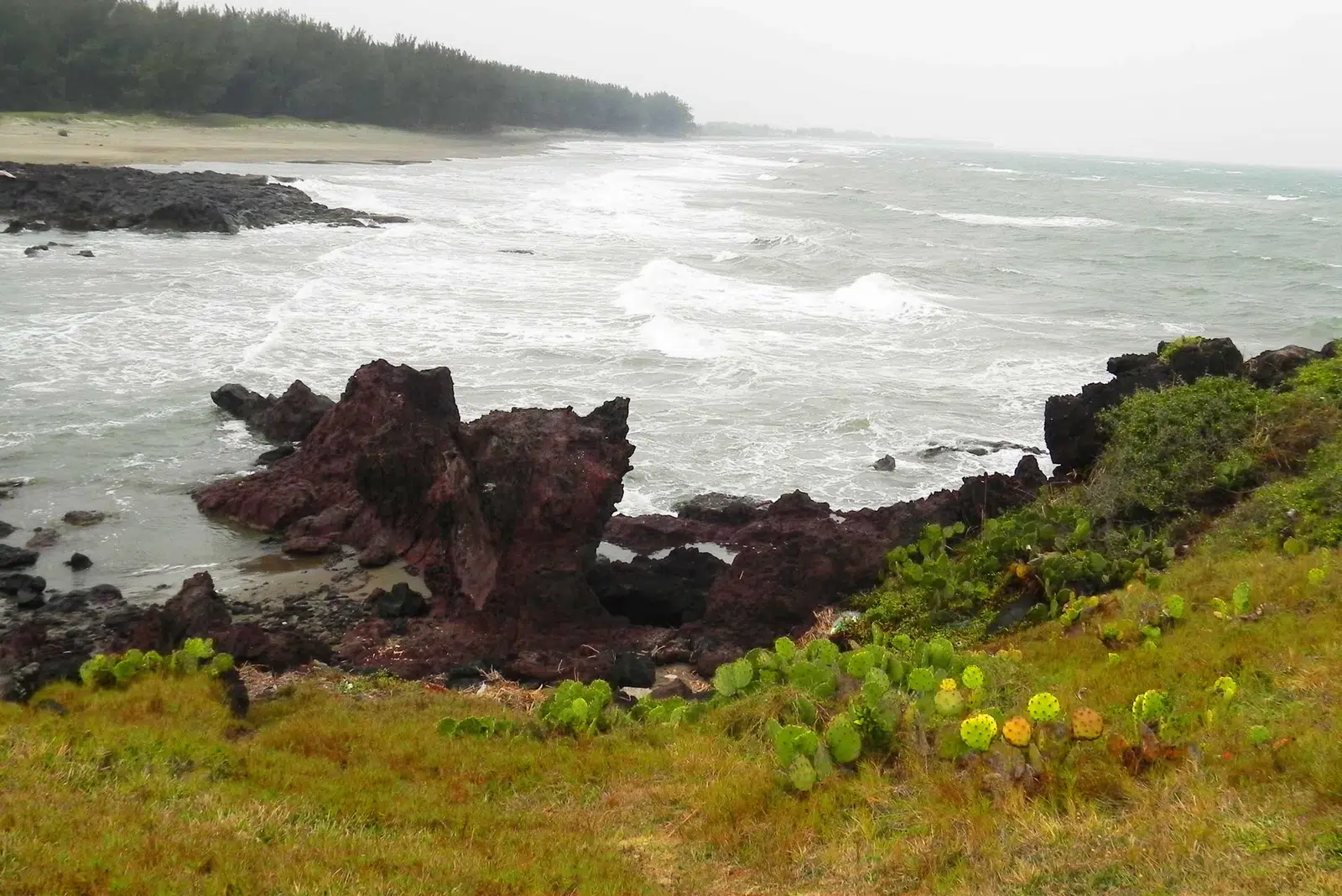 Alto Lucero de Gutiérrez Barrios, Veracruz